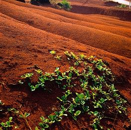 《星刃》女主体模晒证件照 靓丽动人吸引众人眼球