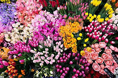 《八方旅人》发售六周年 官方发布贺图